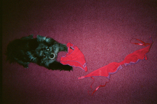 Hillary Taymour ~ A Lingerie on Film Profile