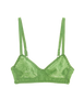 Flat image of green lace bralette. 