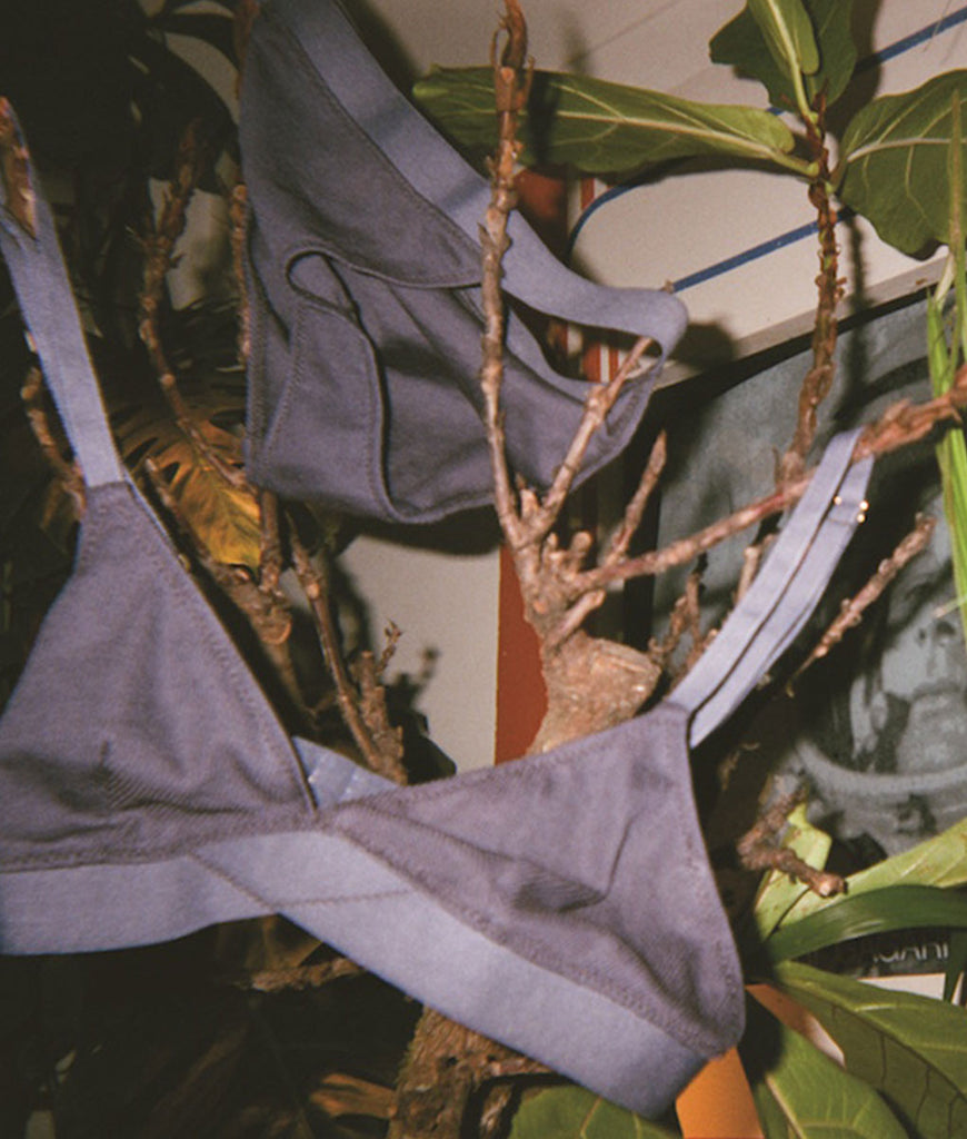 Bluish gray triangle bra with elastic band and matching panty hung on a plant's branches. 