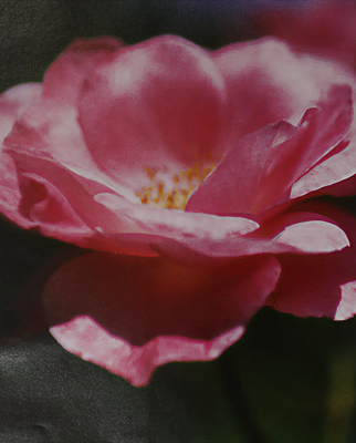 Relationships ~ A collection of stories from women in admiration of other women.