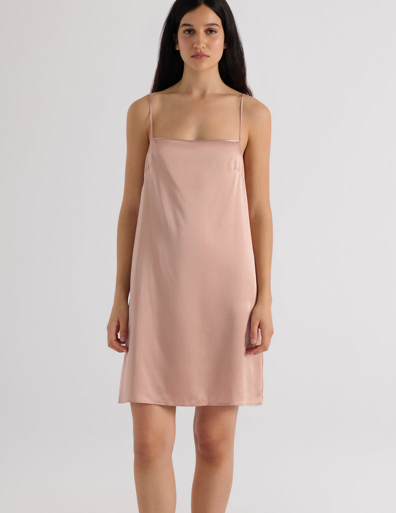 A model in the araks toulouse slip in bare