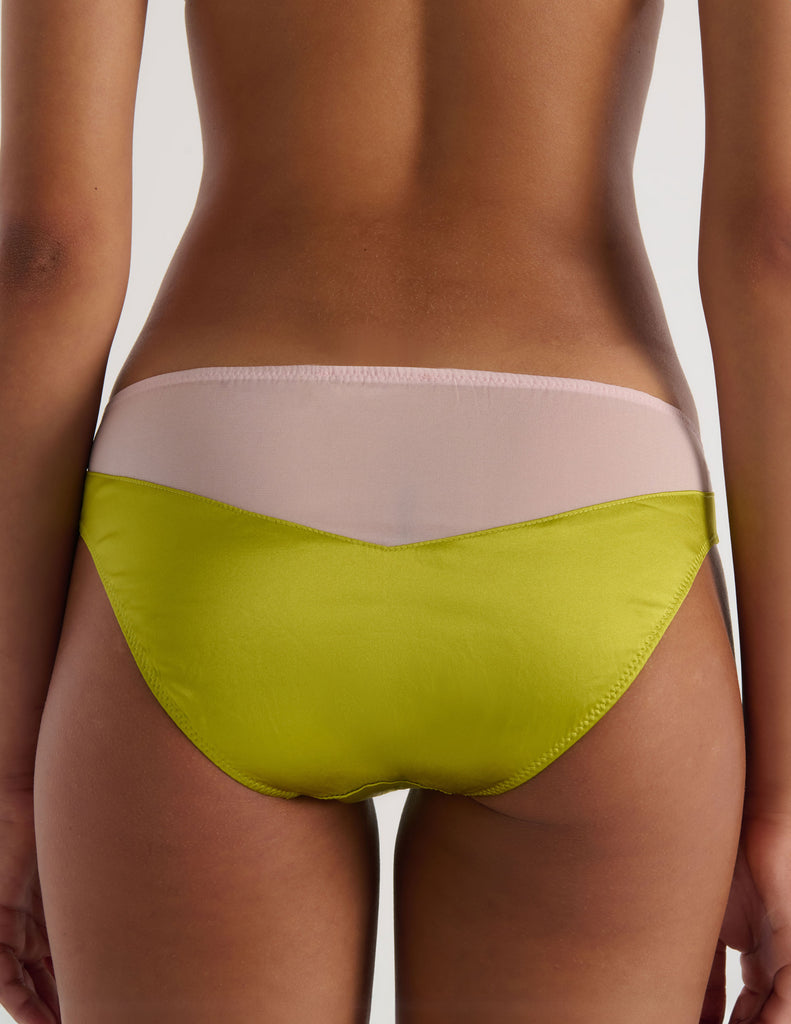 A model in the araks silk charmeuse and silk chiffon aaron panty in confection pink and green
