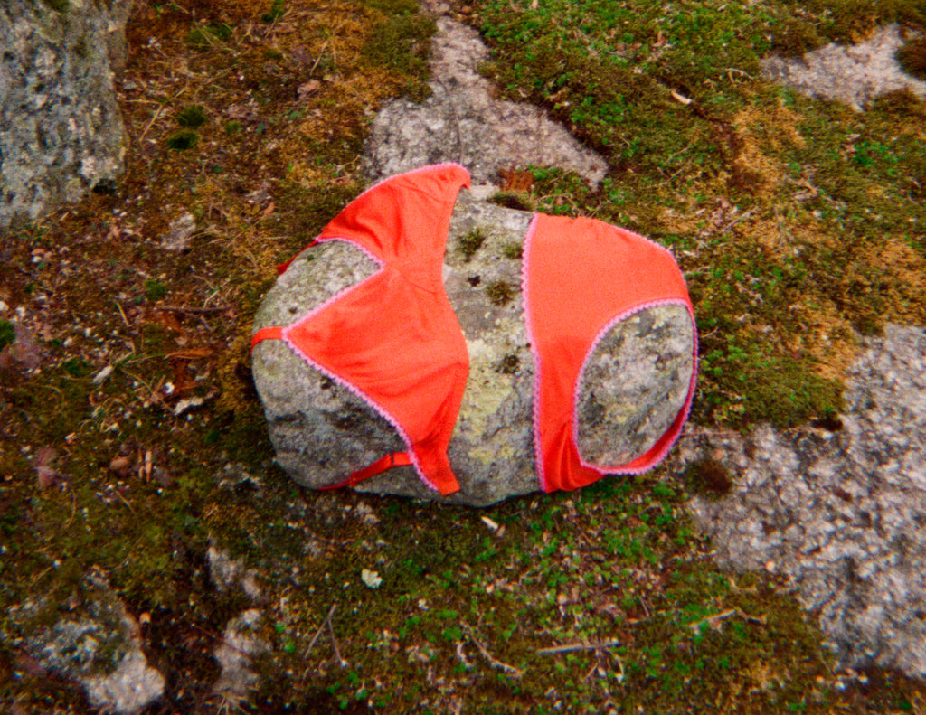 Bra and panty set on top of a rock