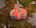 Bra and panty set on top of a rock