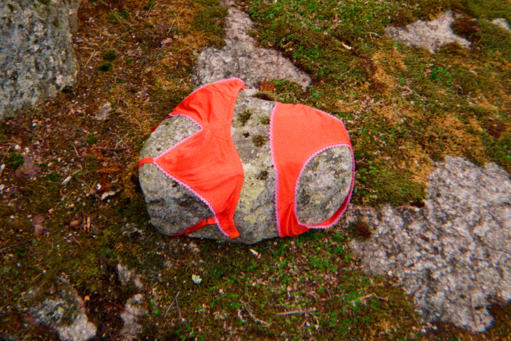 A red and pink bra and panty on top of a rock outside.