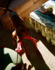 A dog holding a pink bra.