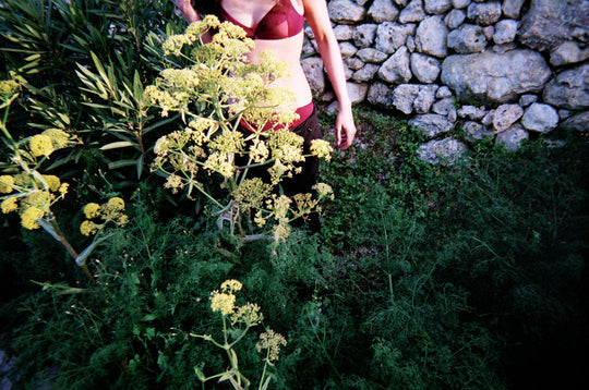 Photo by Polina Aronova ~ Yanelis Bralett & Liselott Panty