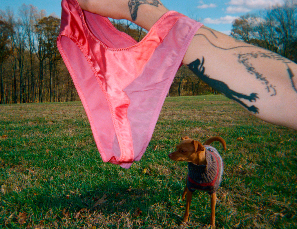 Person in a field with a dog, holding a pink panty.