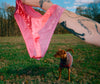A person holding pink panties outside with a dog.