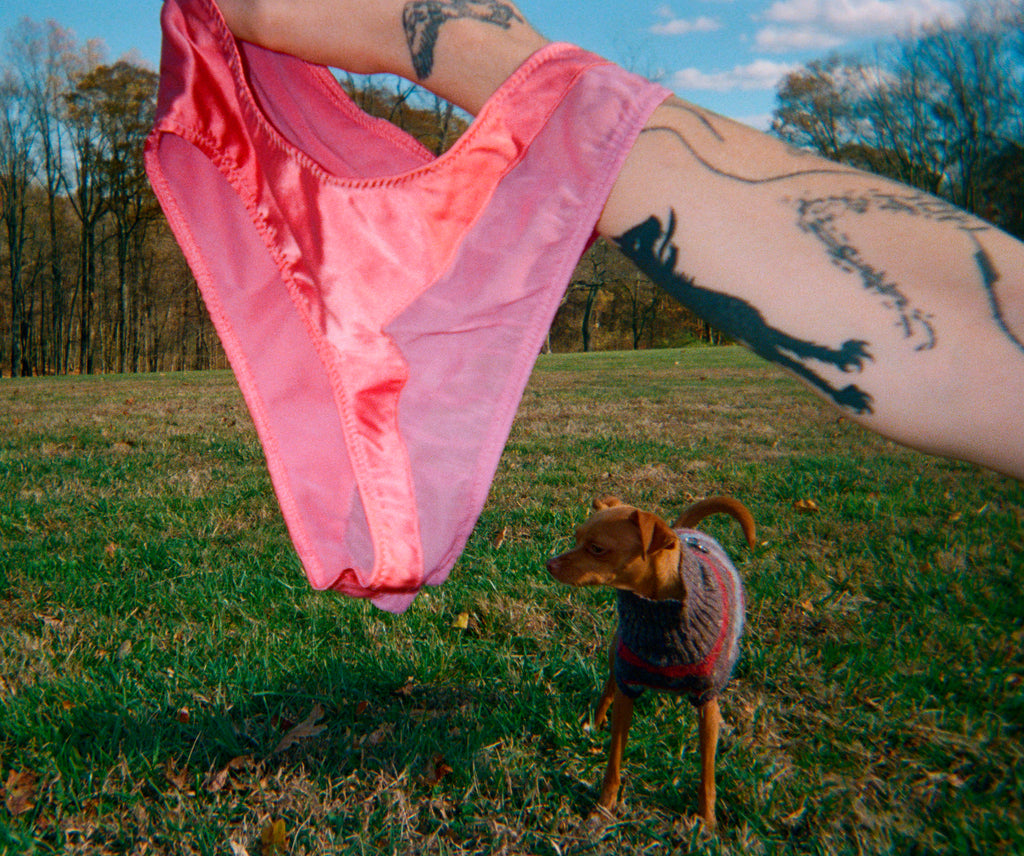 A person holding pink panties outside with a dog.
