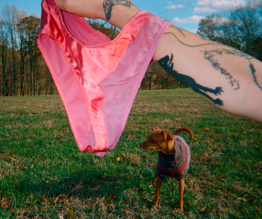 Photo by Quinn Wilson ~ Aaron Panty
