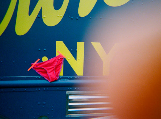 Photo by Stacey Battat ~ Isabella Panty