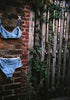 Blue bralette with white trim and matching panty taped to a brick wall. 