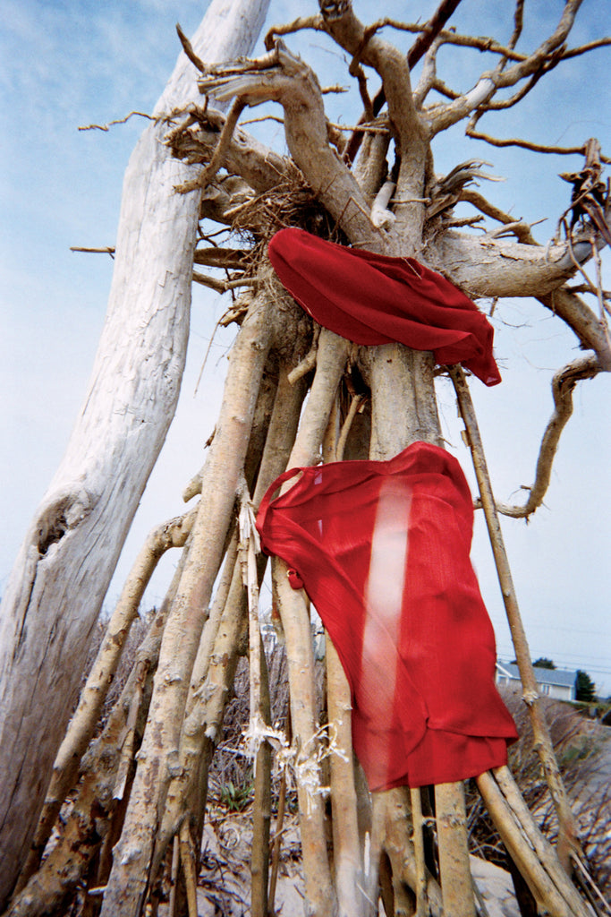 Tree branches displaying red top and red shorts
