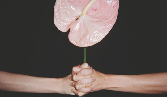 Photo by Brittany Asch