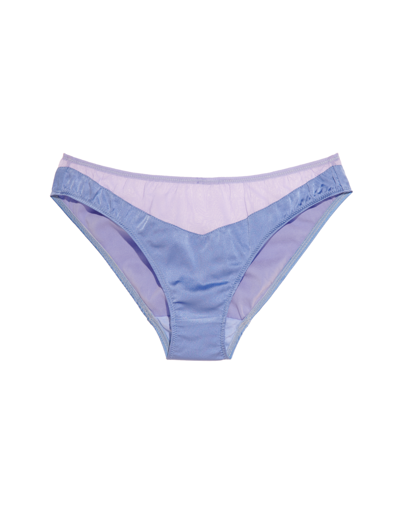  purple and blue silk panty by Araks