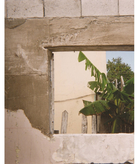 Photo by Laura Bailey