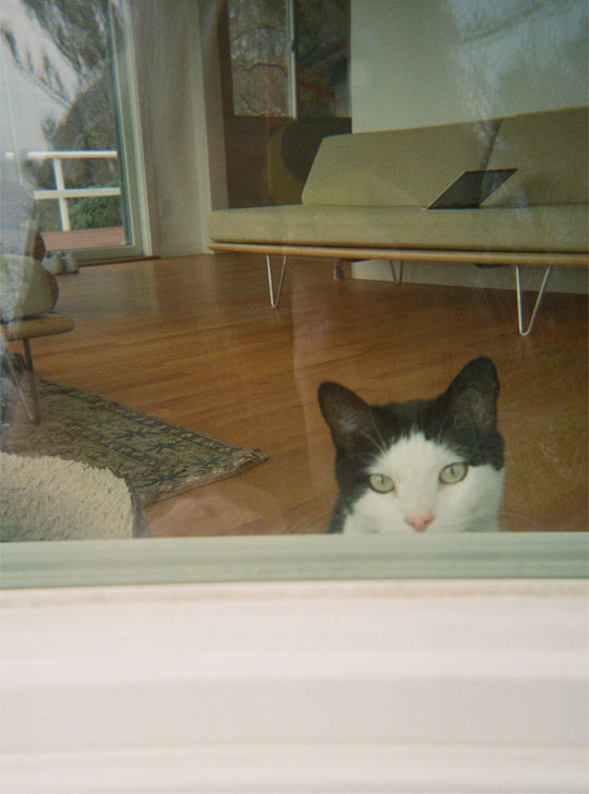 Photo by Laura Brown